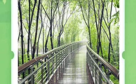 不可辜負(fù)的美，與春天有個(gè)約會(huì)